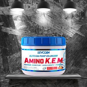 EVOGEN Amino k.e.m. 541-473gr ( 30 servs)