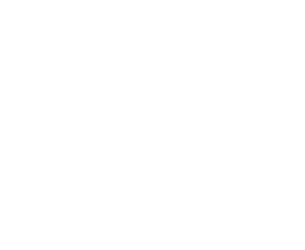 BPI Sports