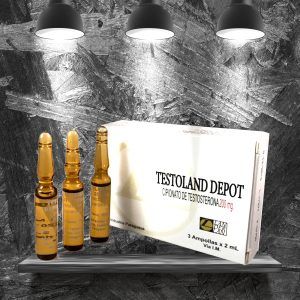LANDERLAN Cipionato de testosterona 200 mg